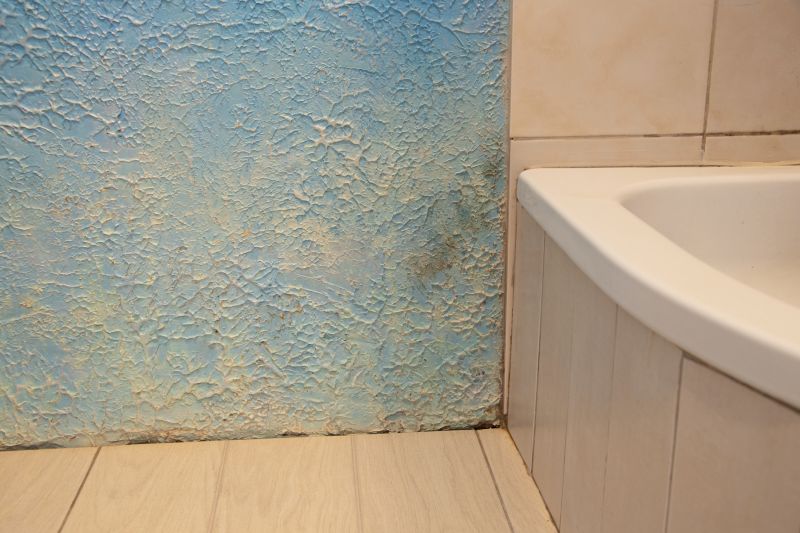 Attic Water Damage Repair in Katy, TX
