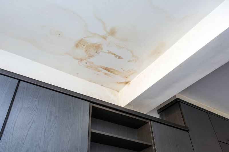 Building Damage Repair in Conroe, TX